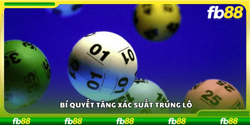 Bí quyết tăng xác suất trúng lô