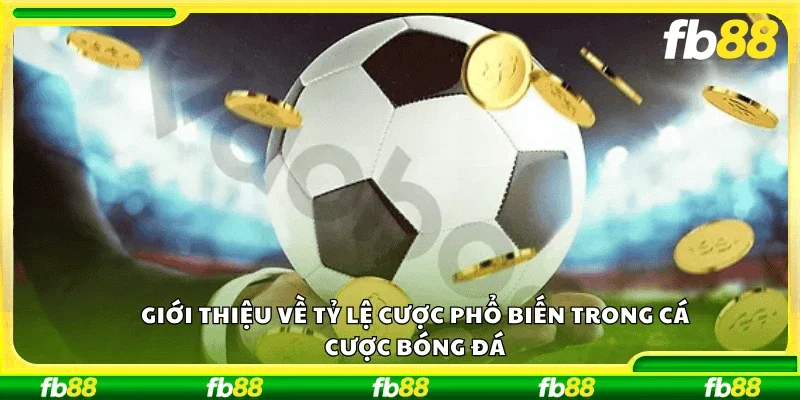 Giới thiệu về tỷ lệ cược phổ biến trong cá cược bóng đá