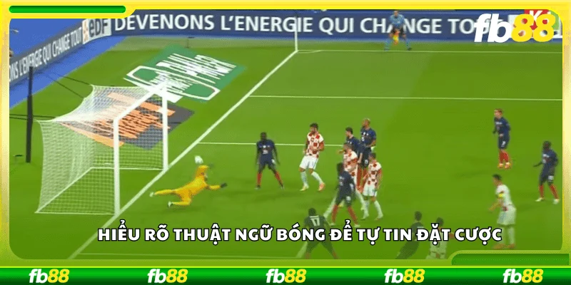 Hiểu rõ thuật ngữ bóng để tự tin đặt cược