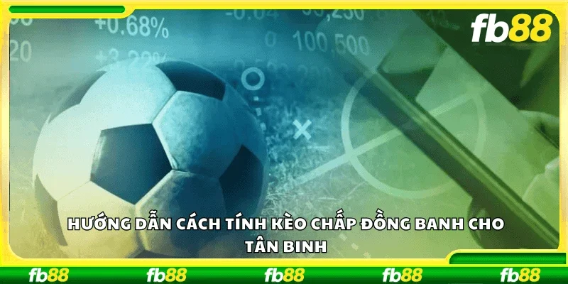 Hướng dẫn cách tính kèo chấp đồng banh cho tân binh
