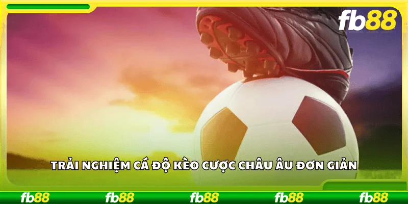 Trải nghiệm cá độ kèo cược châu Âu đơn giản